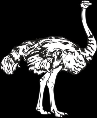 Ostrich01NC2bw