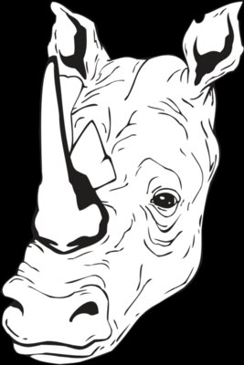 RHINOHD