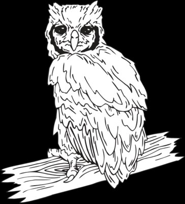 OWL3