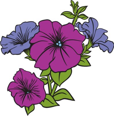 Petunia01NC2clr