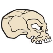 ESskull018clr